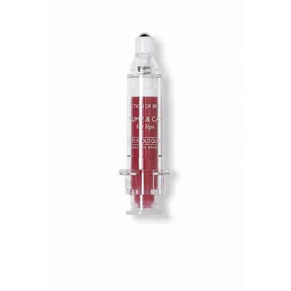 Plumpl & Care For Lips Kit