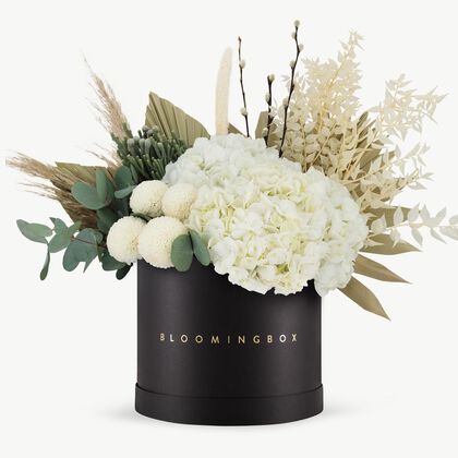 Beirut Black Box Large