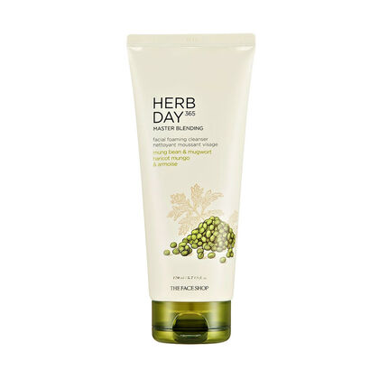 Herb Day 365 Master Blending Foaming Cleanser Mung Bean&mugw