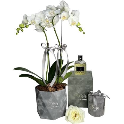 Giftset - Pour Homme Cologne, Orchids & Chocolates