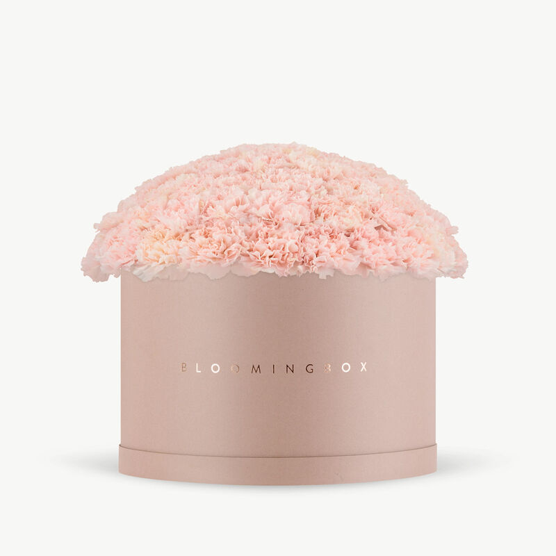 Pink Carnations Blush Box X-large