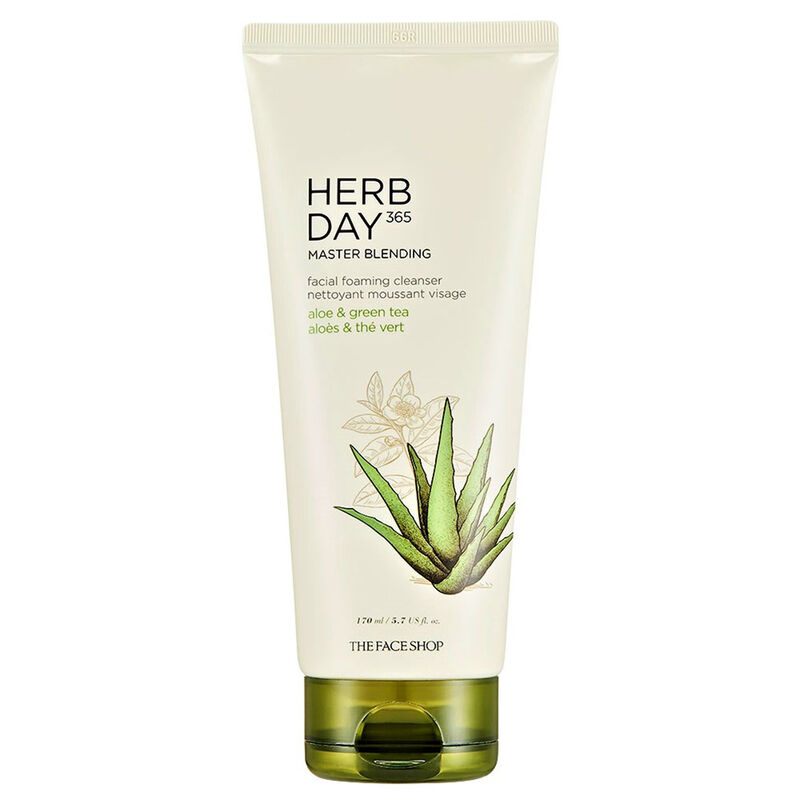 Herb Day 365 Master Blending Foaming Cleanser Aloe & Green Tea