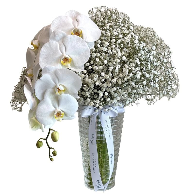 Vase - Gypsophila And Orchid Large Criss Cut