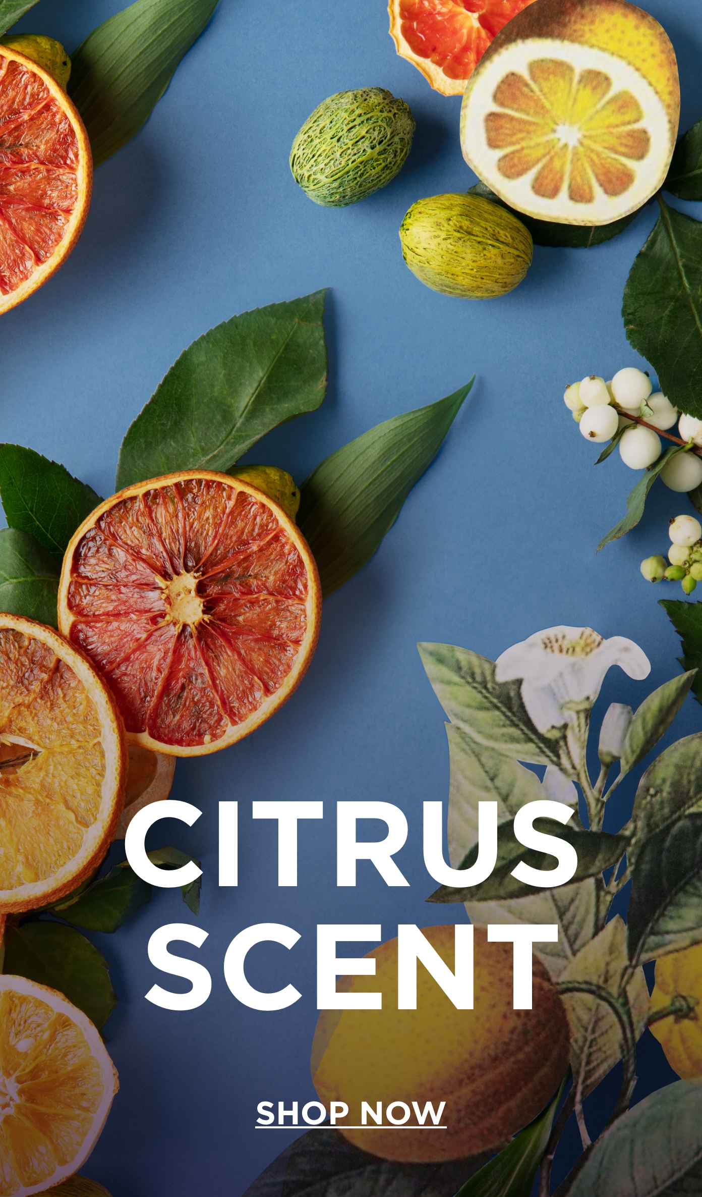 Image without a name 