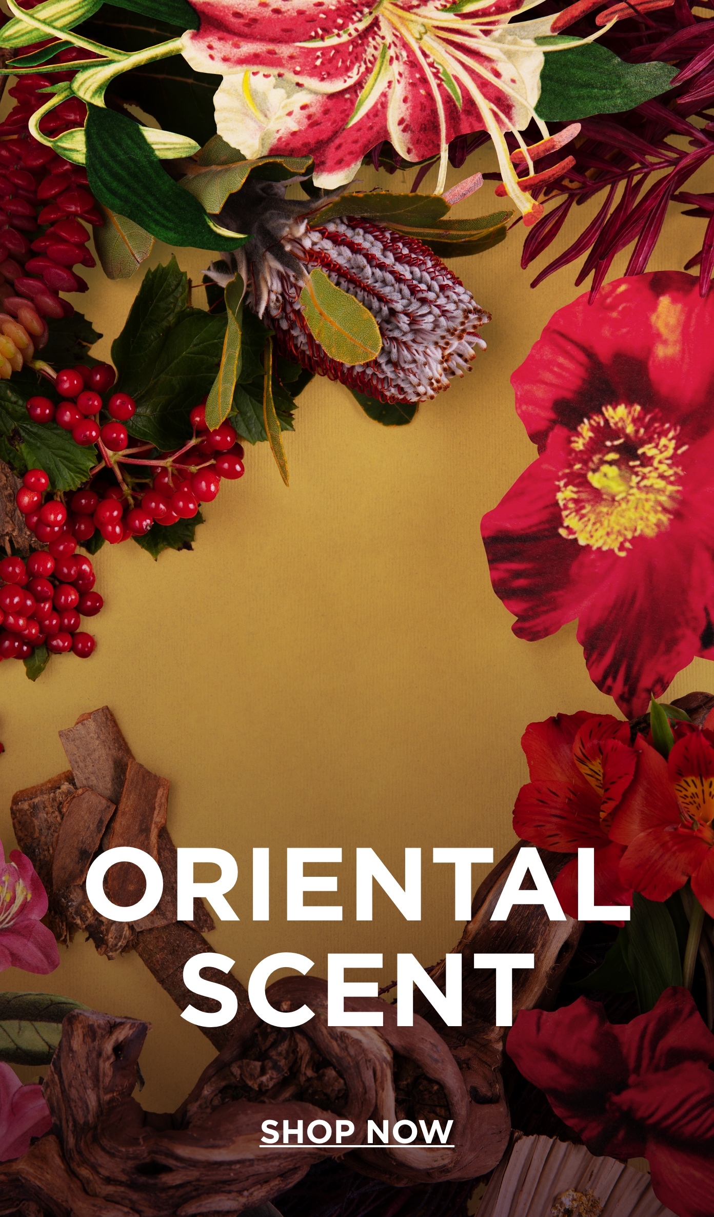 Image without a name 