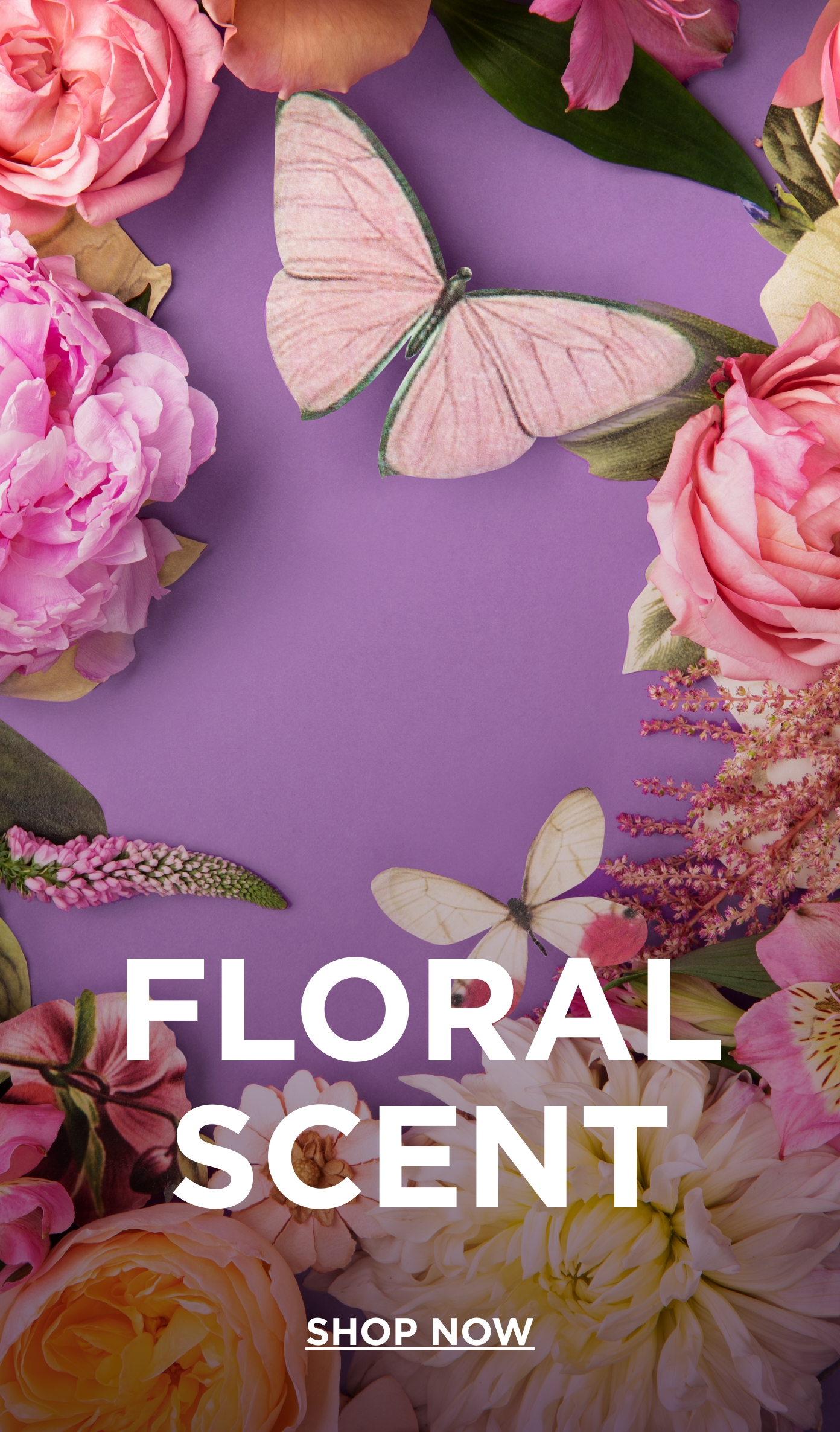 Image without a name 