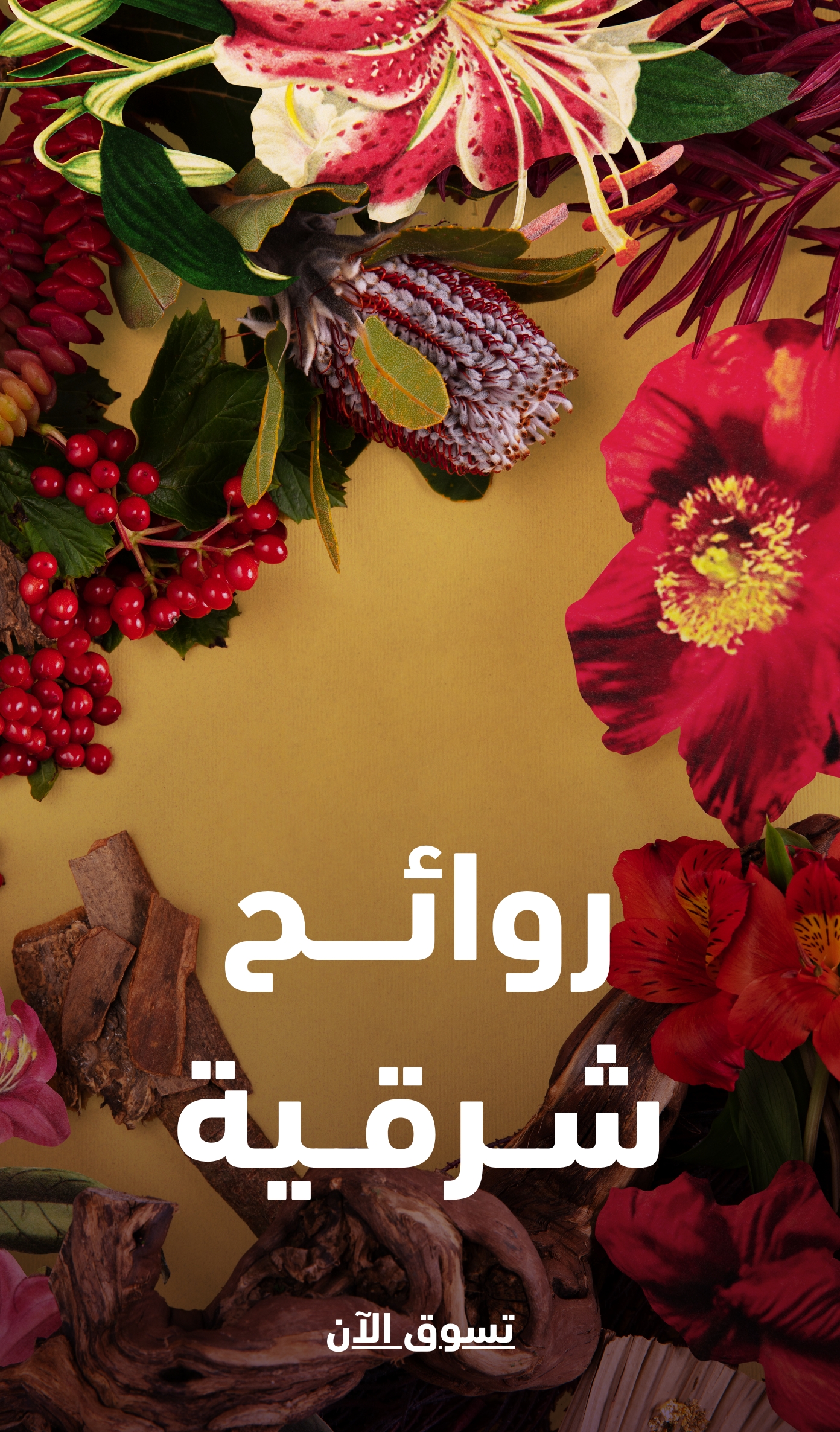 Image without a name 