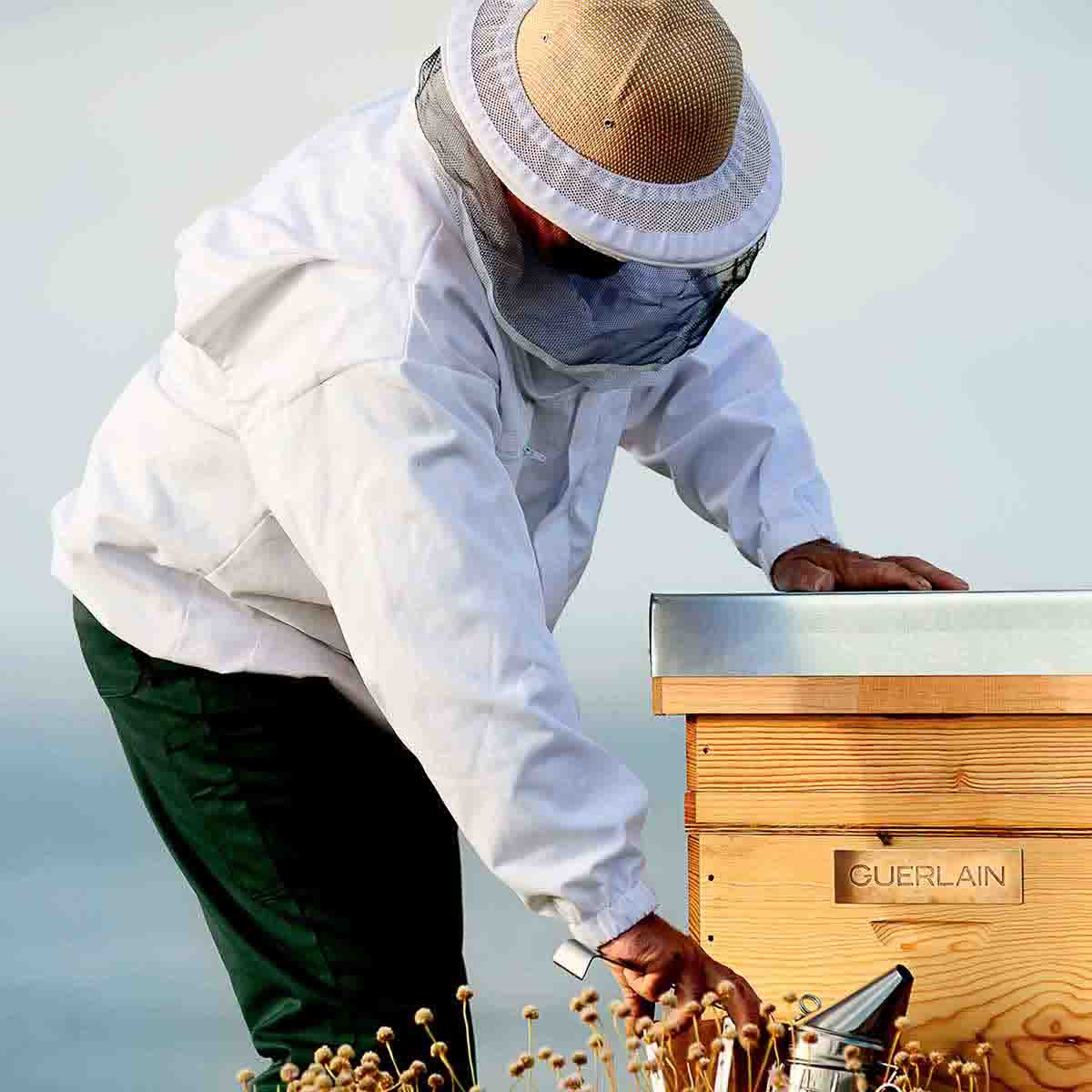 Abeille Royale Honey Treatment