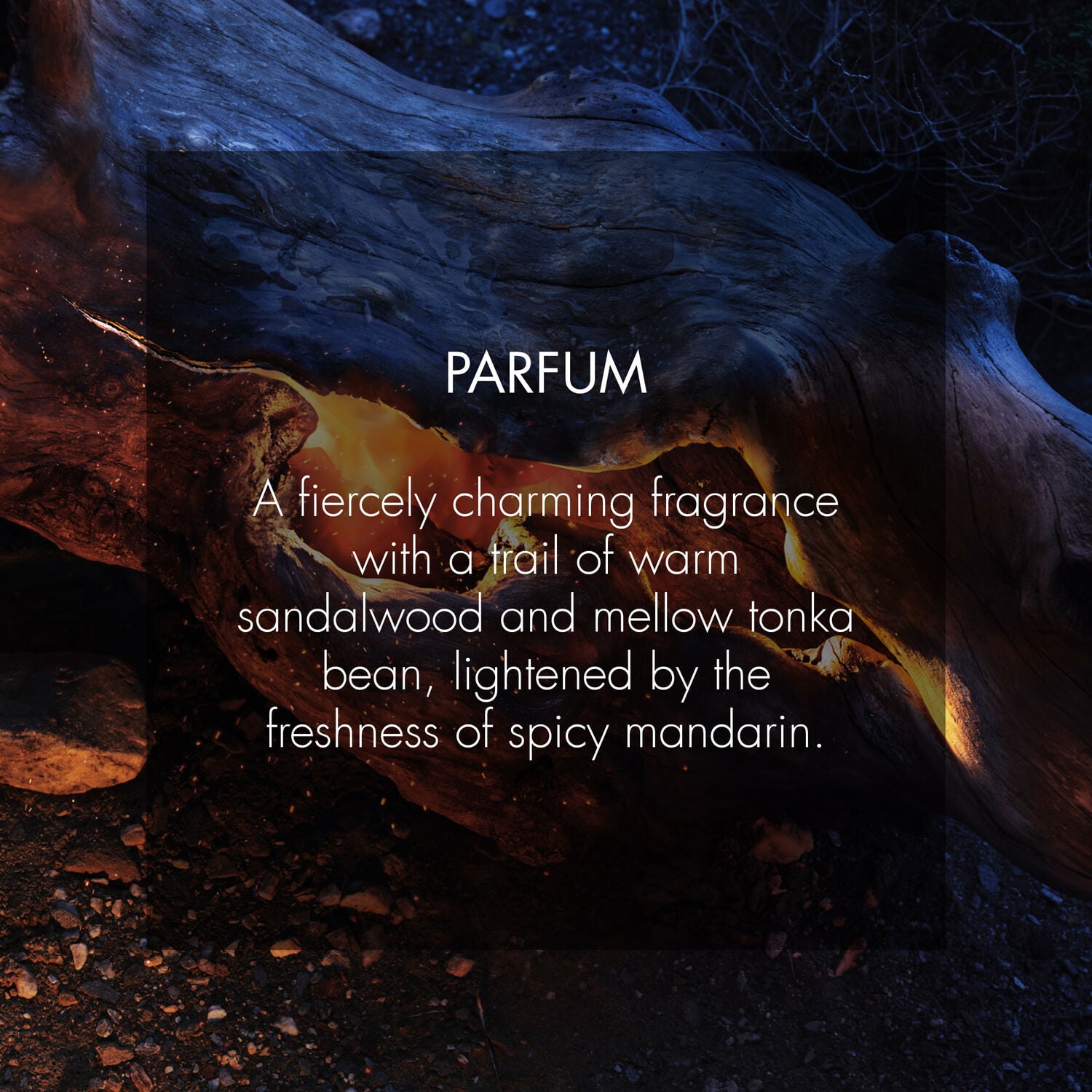 Sauvage Parfum