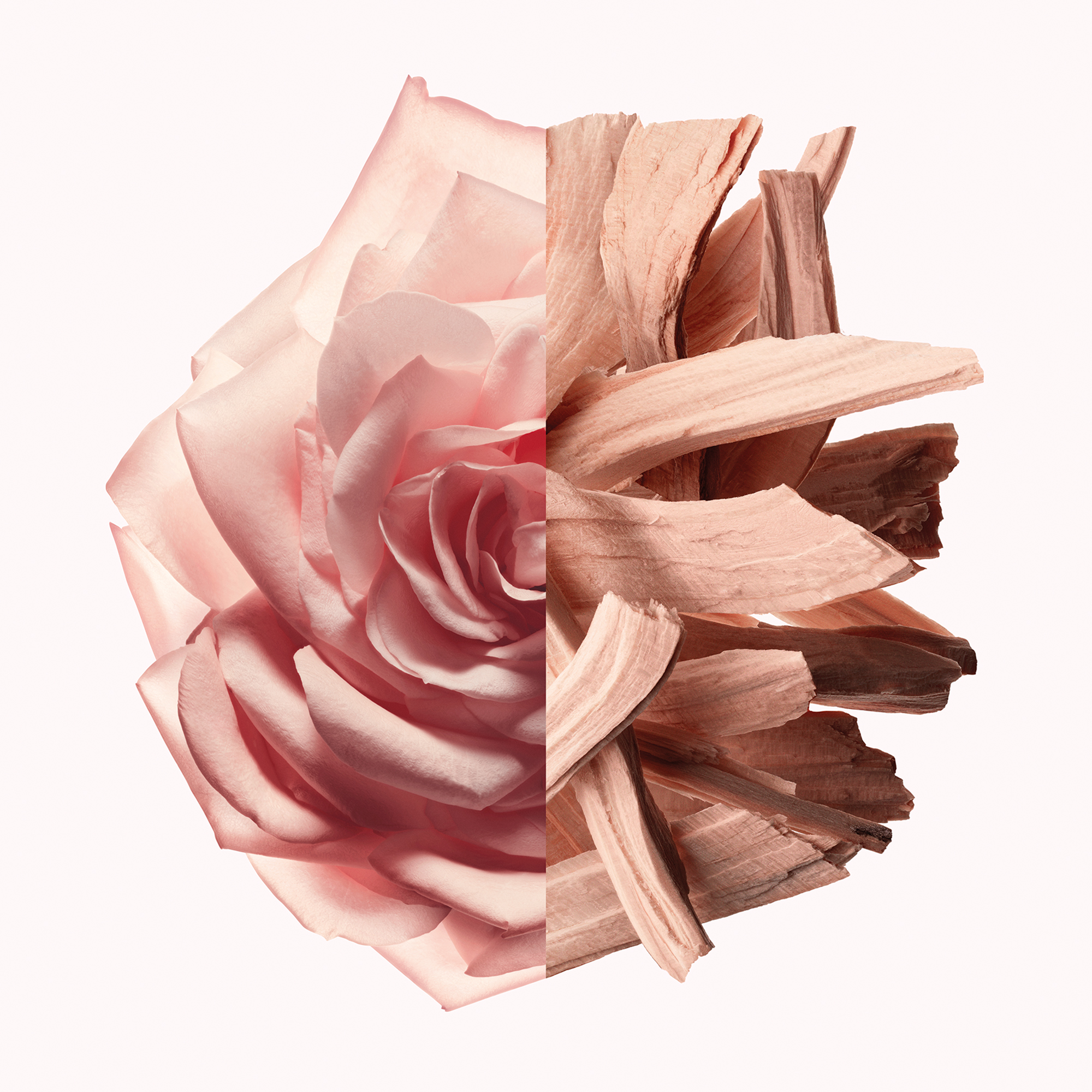 Irresistible Nude Velvet