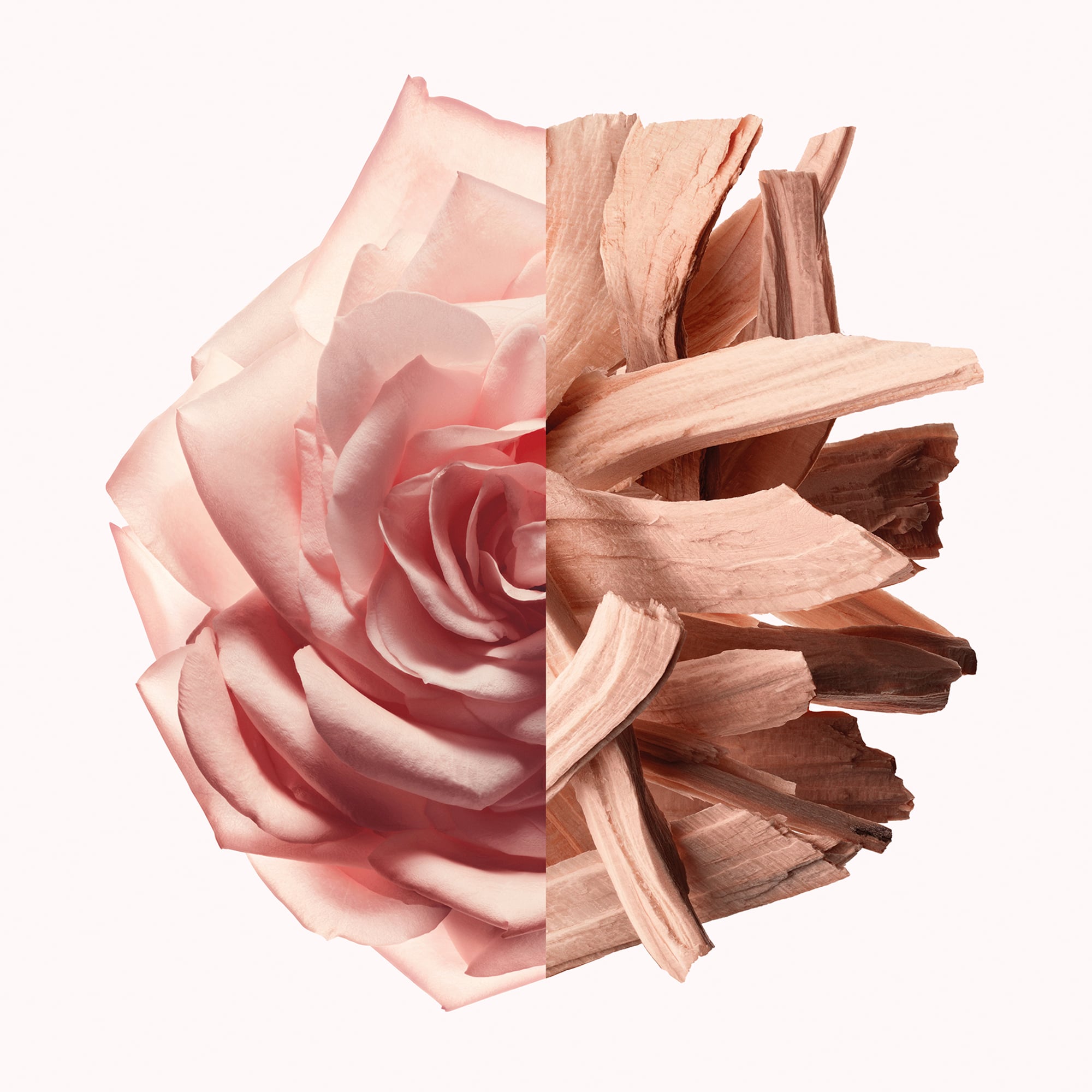 Irresistible Nude Velvet