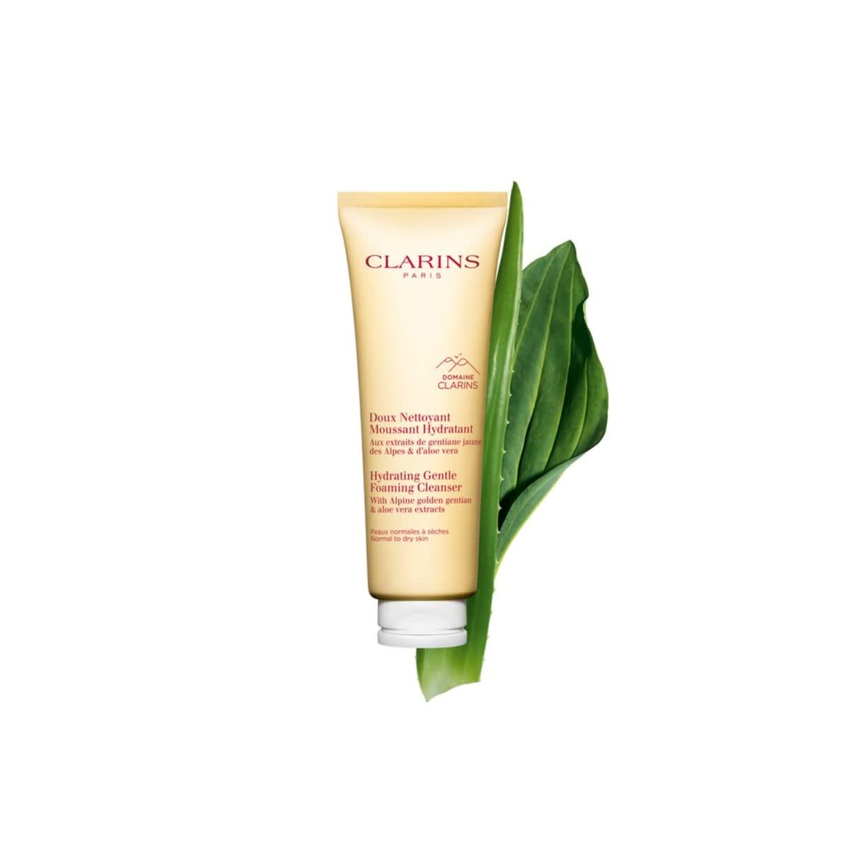 Hydrating Gentle Foaming Cleanser
