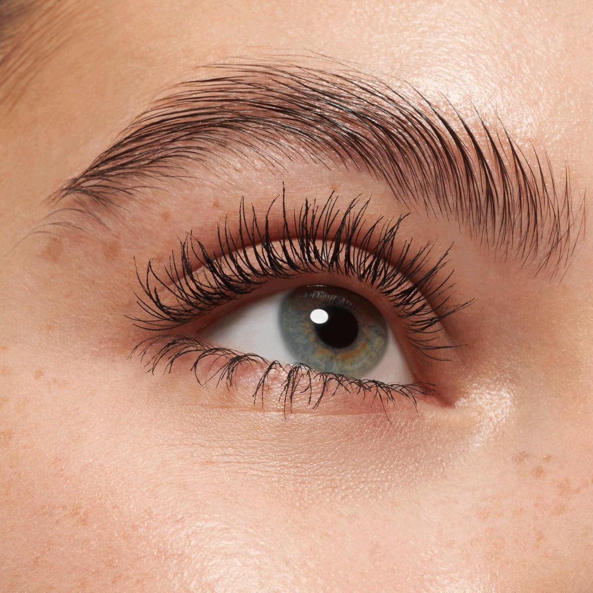 Lash Princess Volume