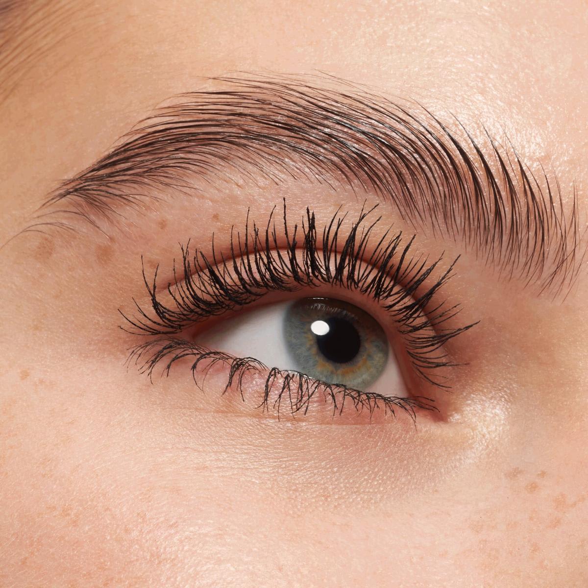 Lash Princess Sculpted Volume
