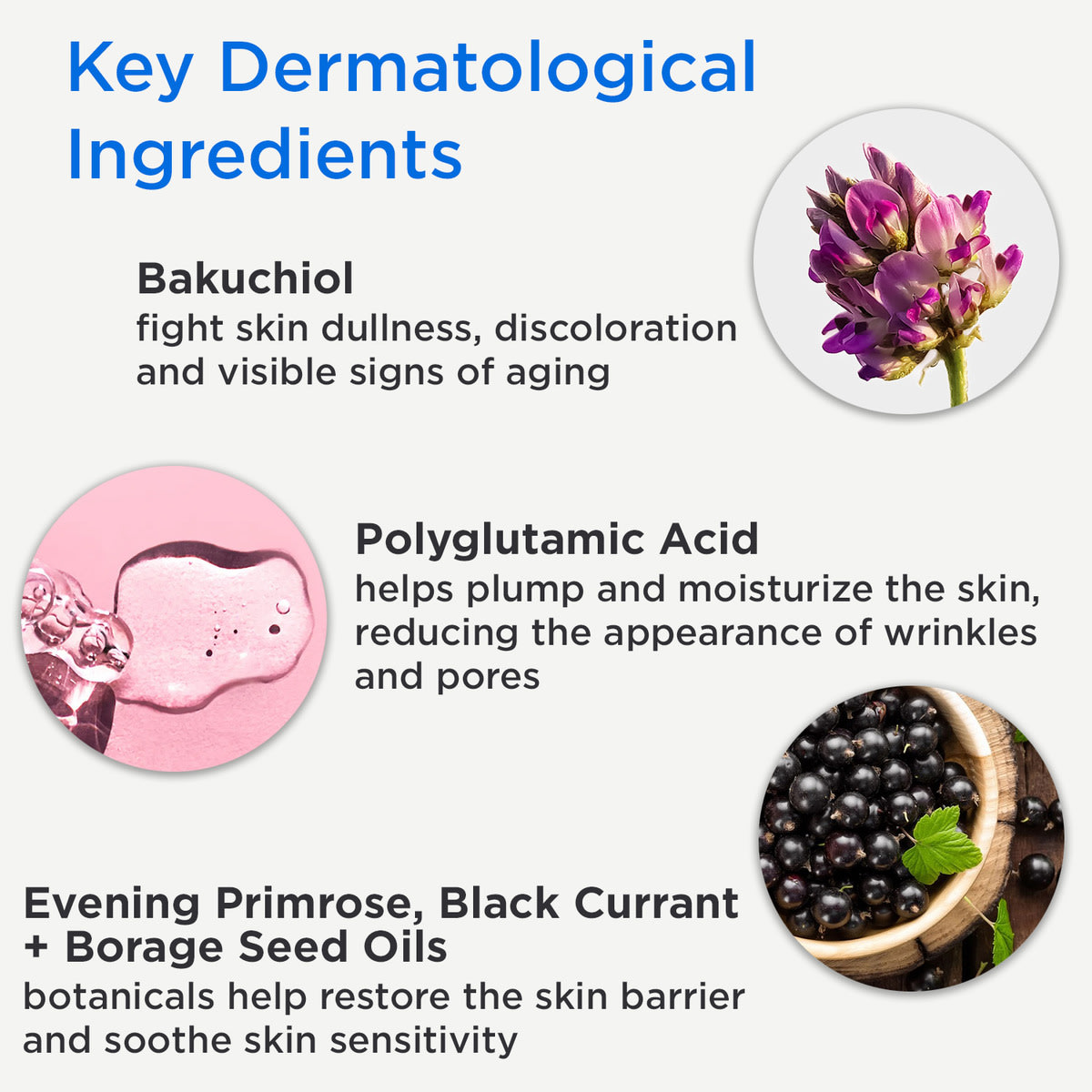 Calm Cool & Corrected Bakuchiol Retinol Alternative Serum For Sensitive, Dry, And Rosacea-prone Skin