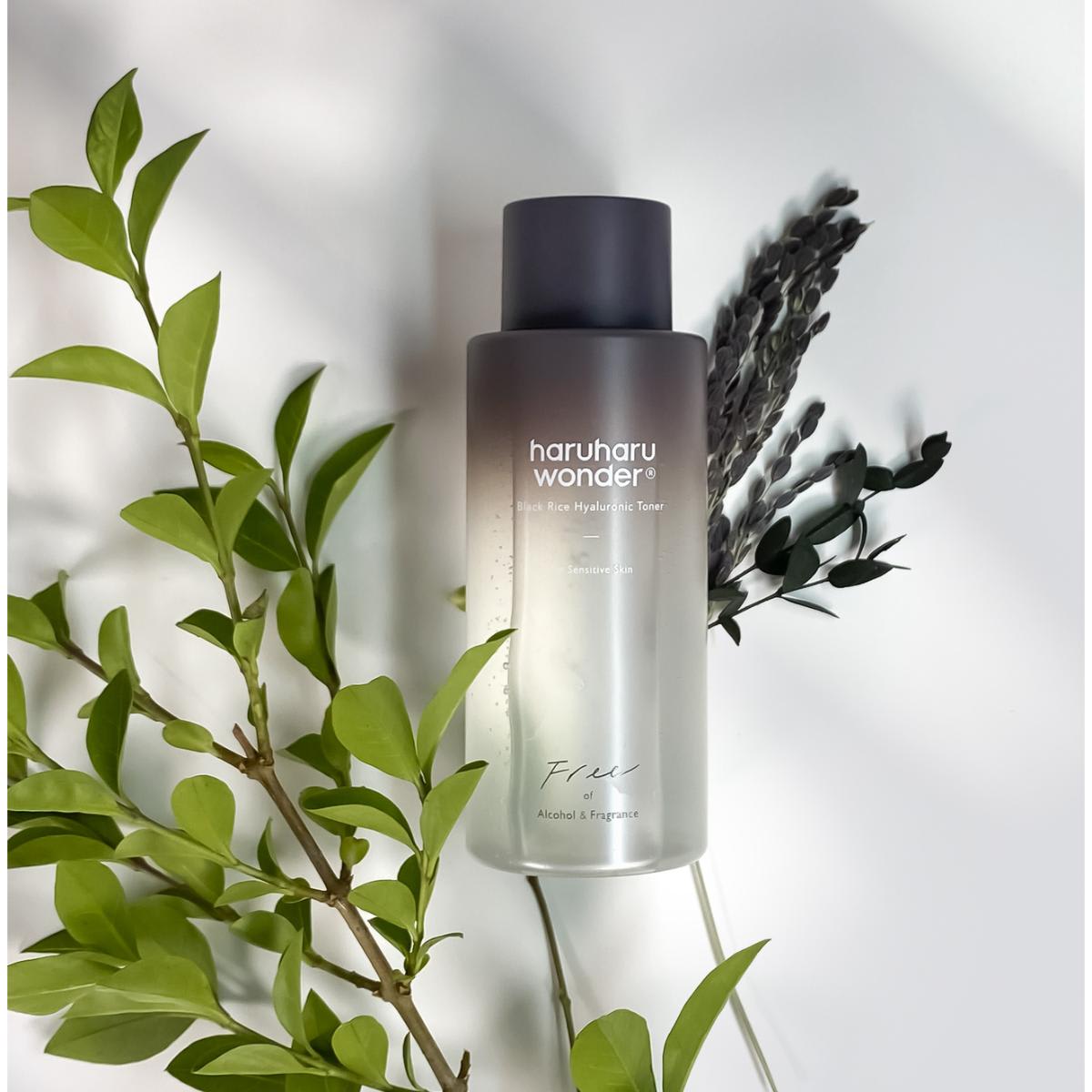 Black Rice Hyaluronic - Free Of Alcohol Fragrance