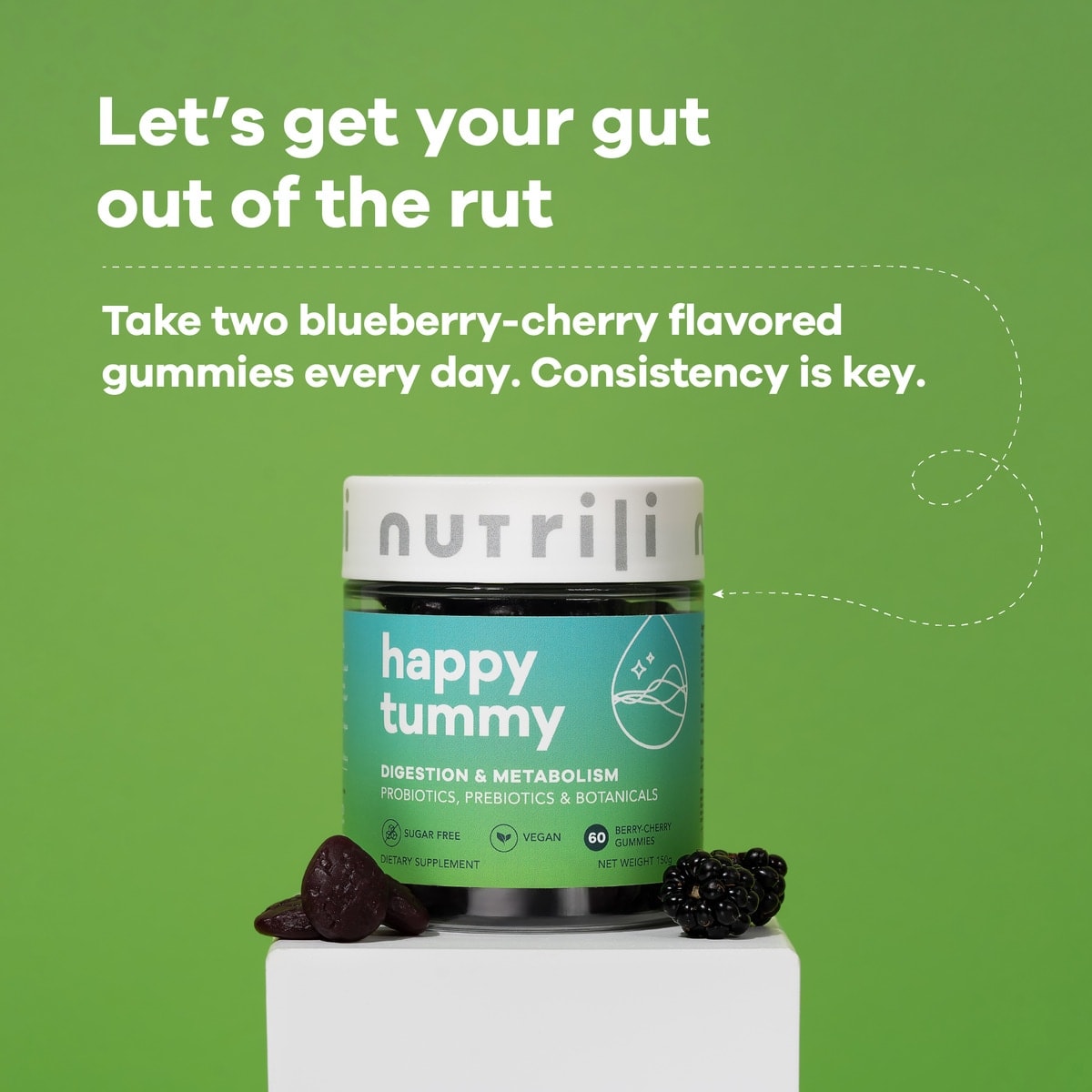 Happy Tummy Sugar Free Gummies Supplement