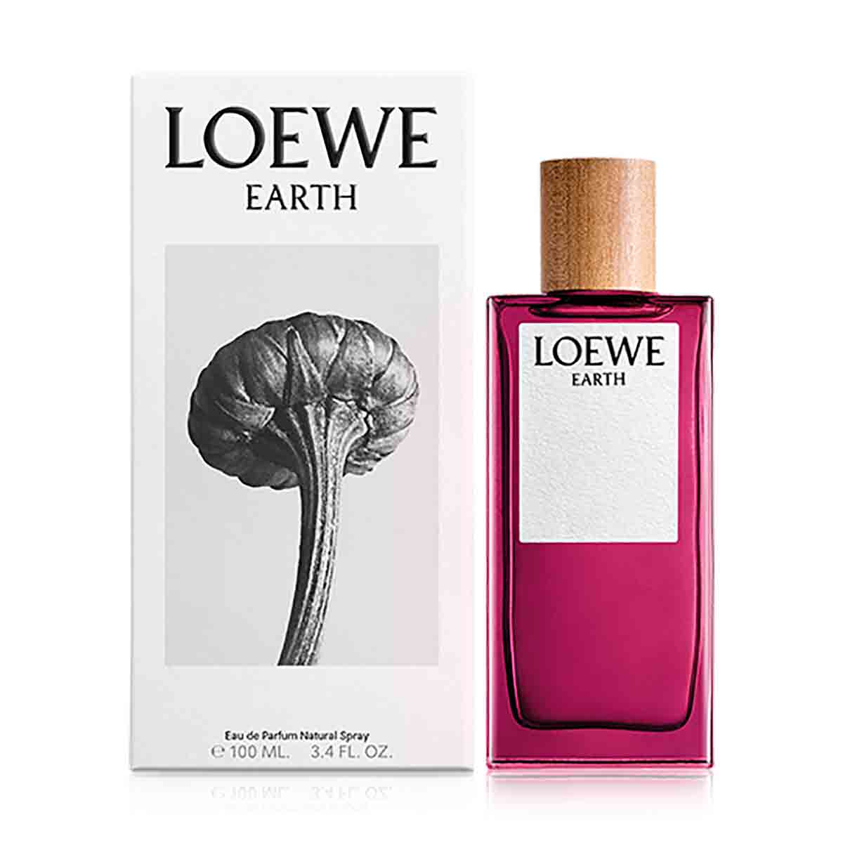 Loewe Earth