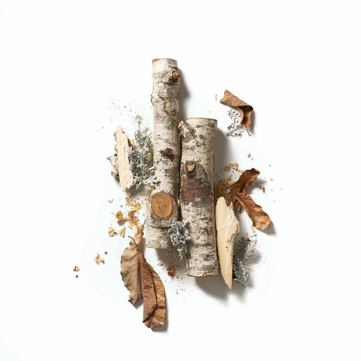 Santalum Plant Based Deodorant