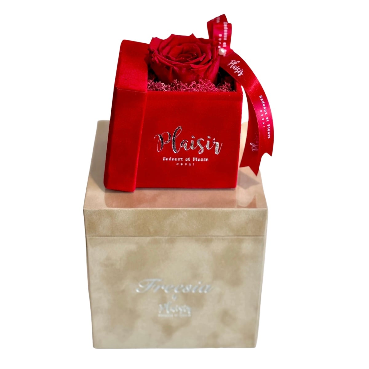 Giftset - Freesia Fragrance And Single Infinity