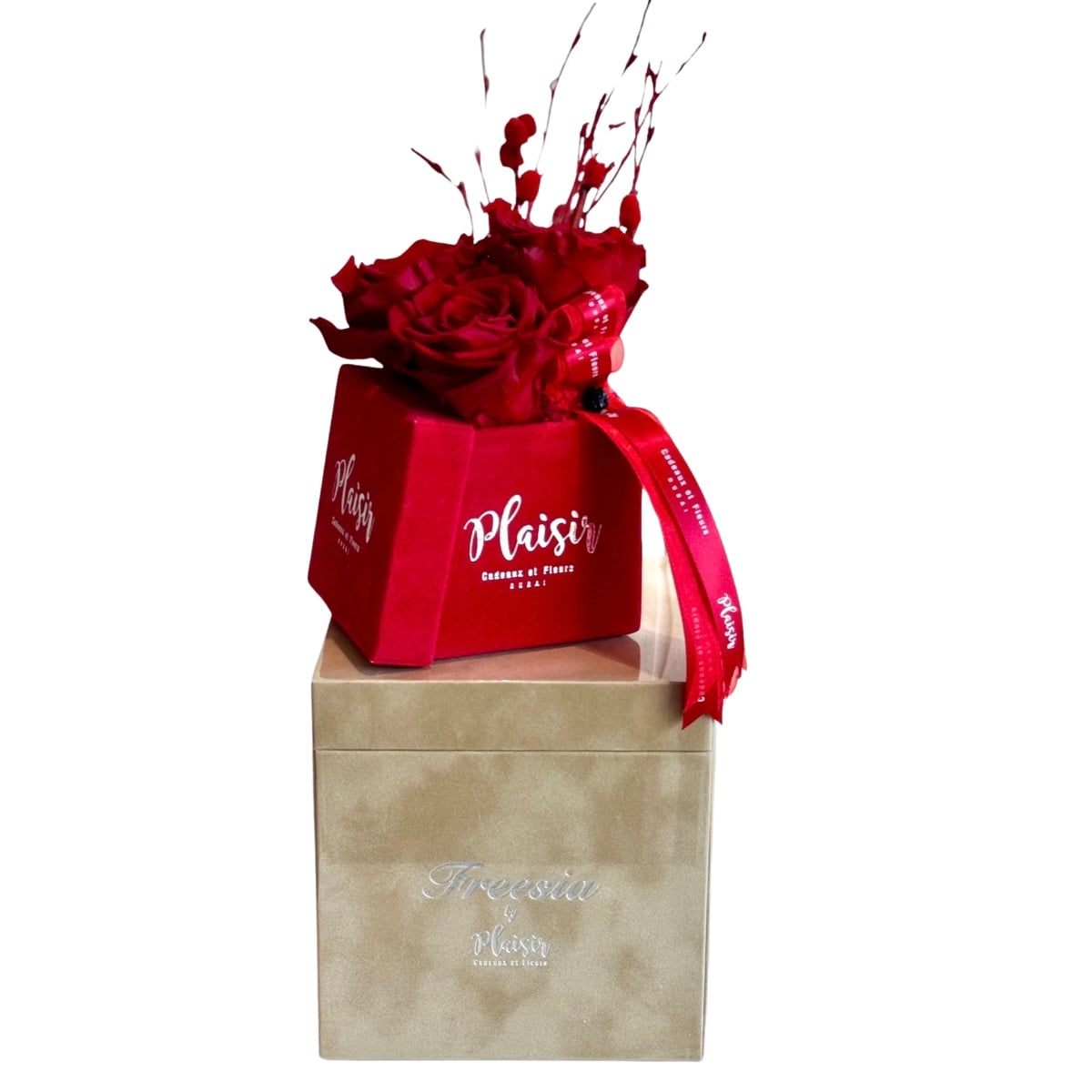 Giftset - Freesia Fragrance And Triple Infinity