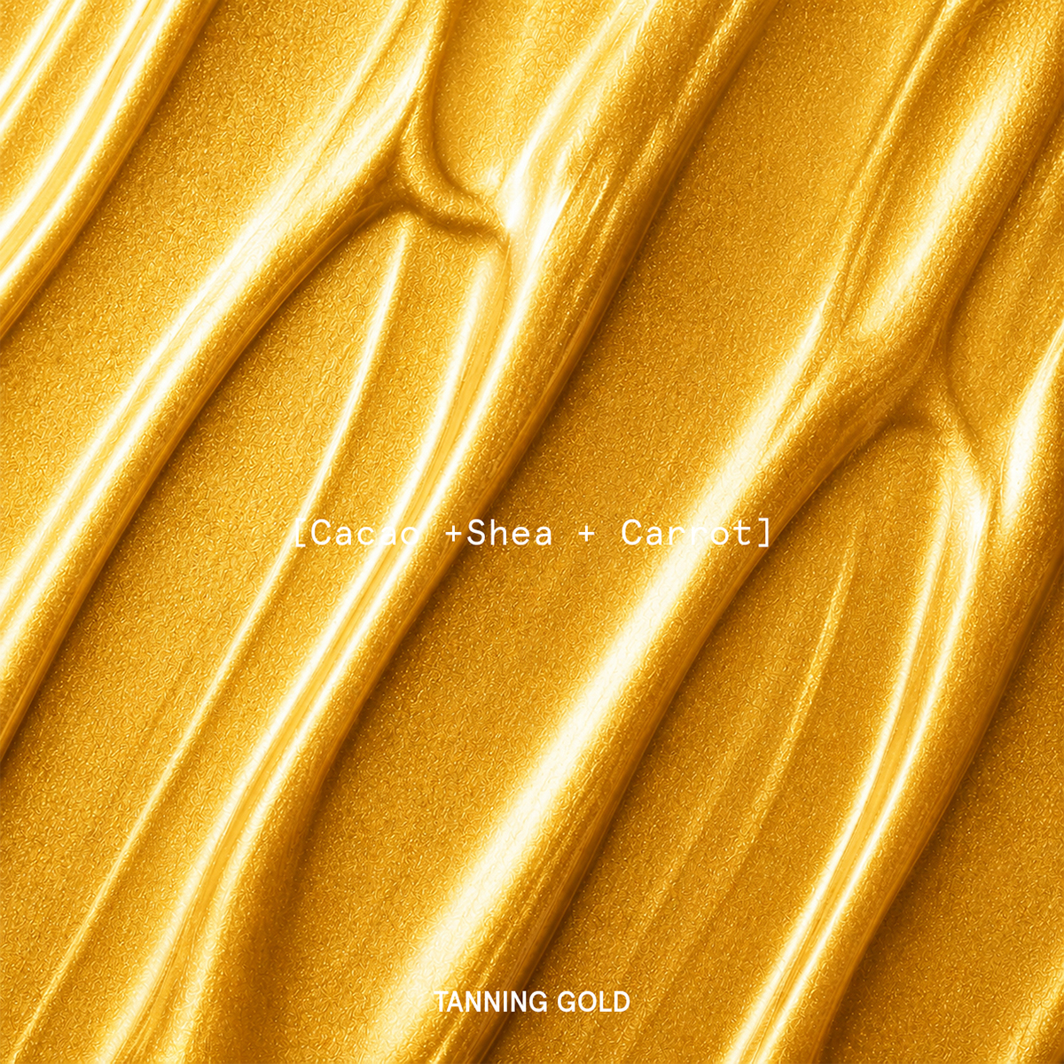 Earthy Butter Tanning Gold