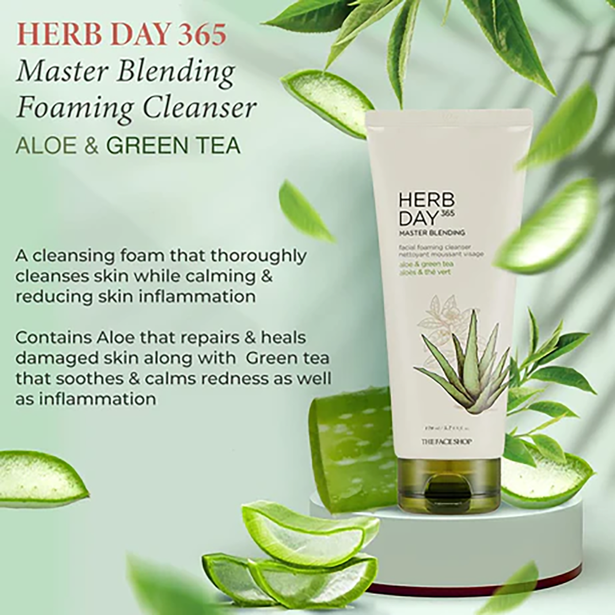 Herbday 365 Master Blending Foaming Cleanser Aloe & Green Tea