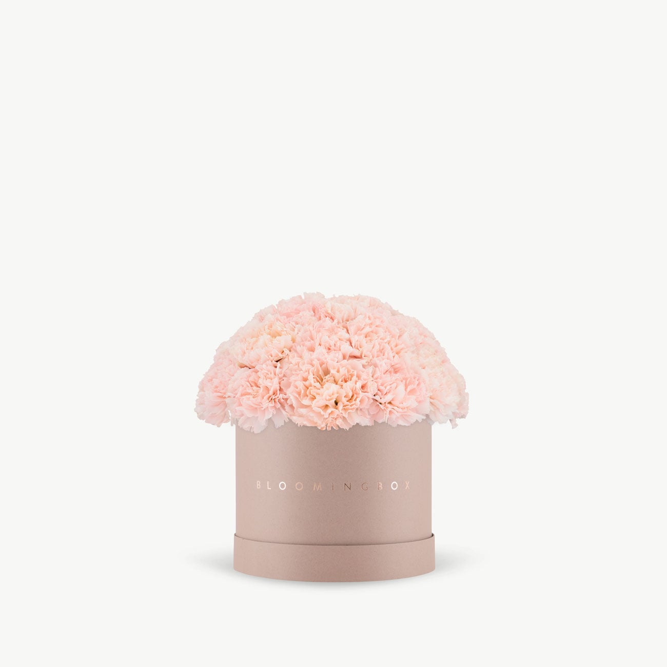 Pink Carnation Blush Box Medium