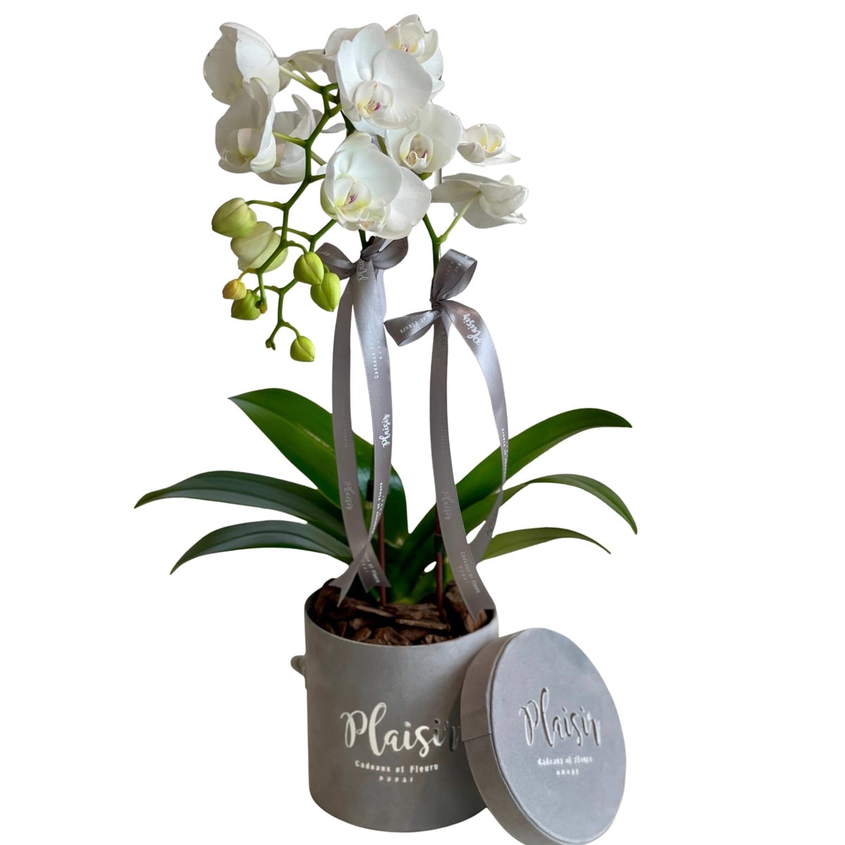 Luxury Giftset Tray