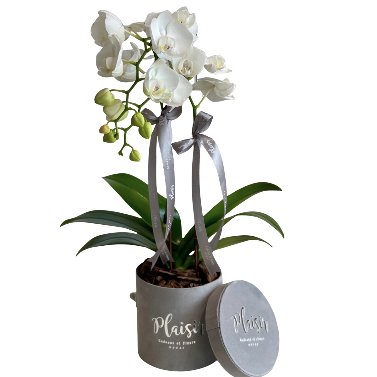 Luxury Giftset Tray