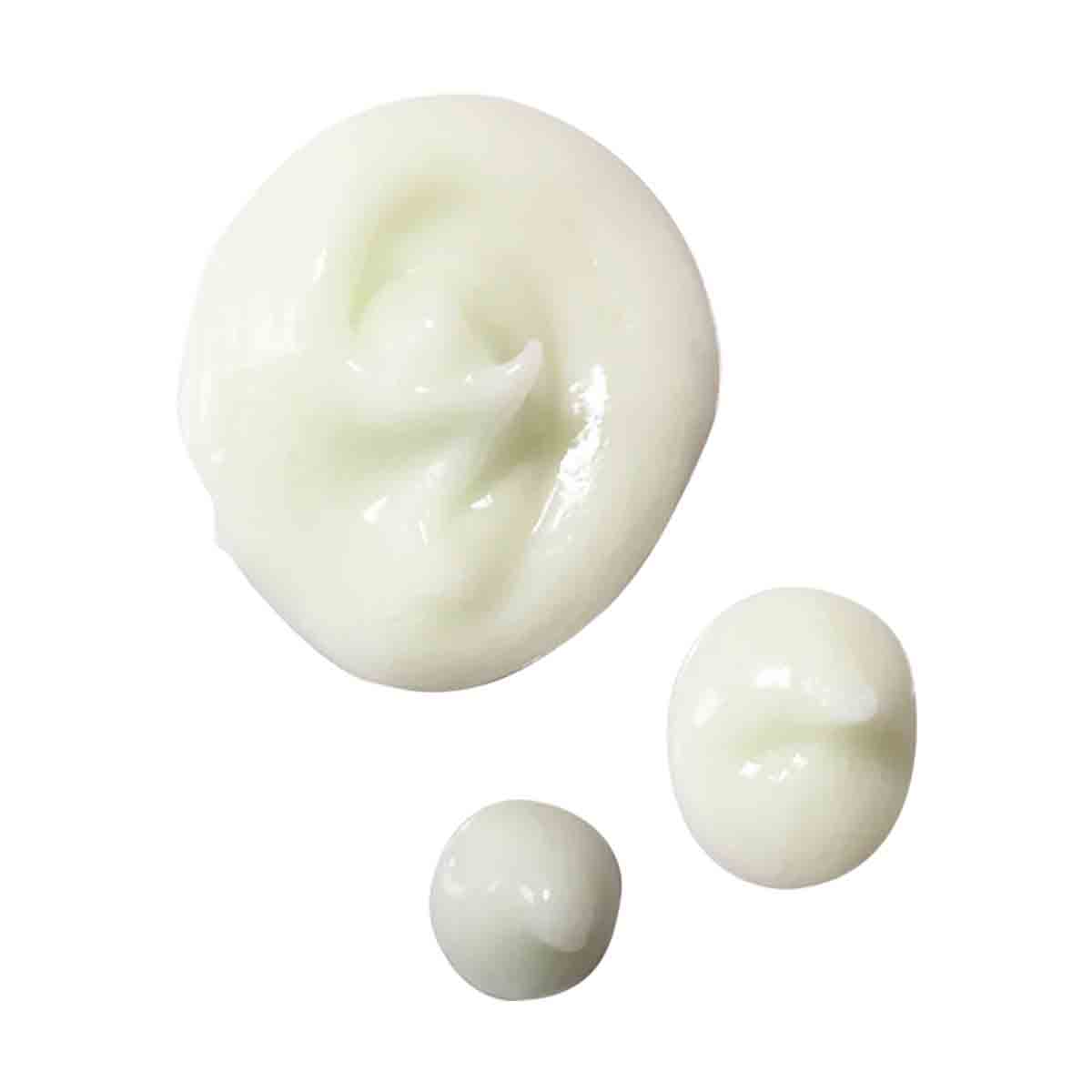 Daily Shield Superfood Conditioner