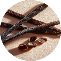 Vanilla Perfumes